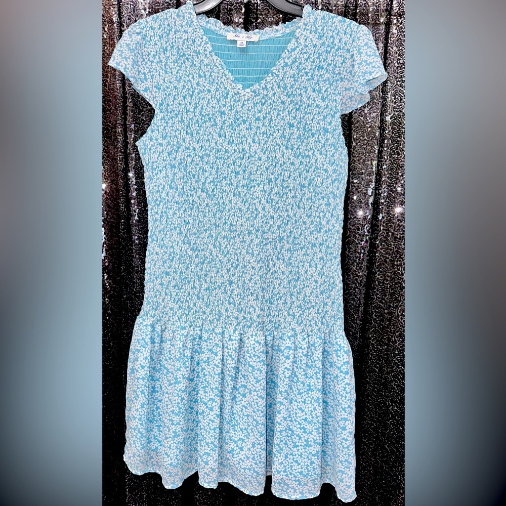 She + Sky Spring blue dress